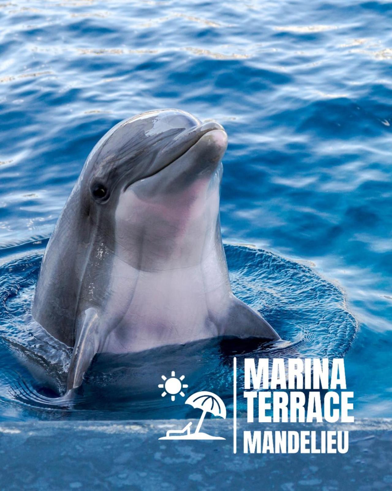 Appartamento Marina Terrace Mandelieu Esterno foto