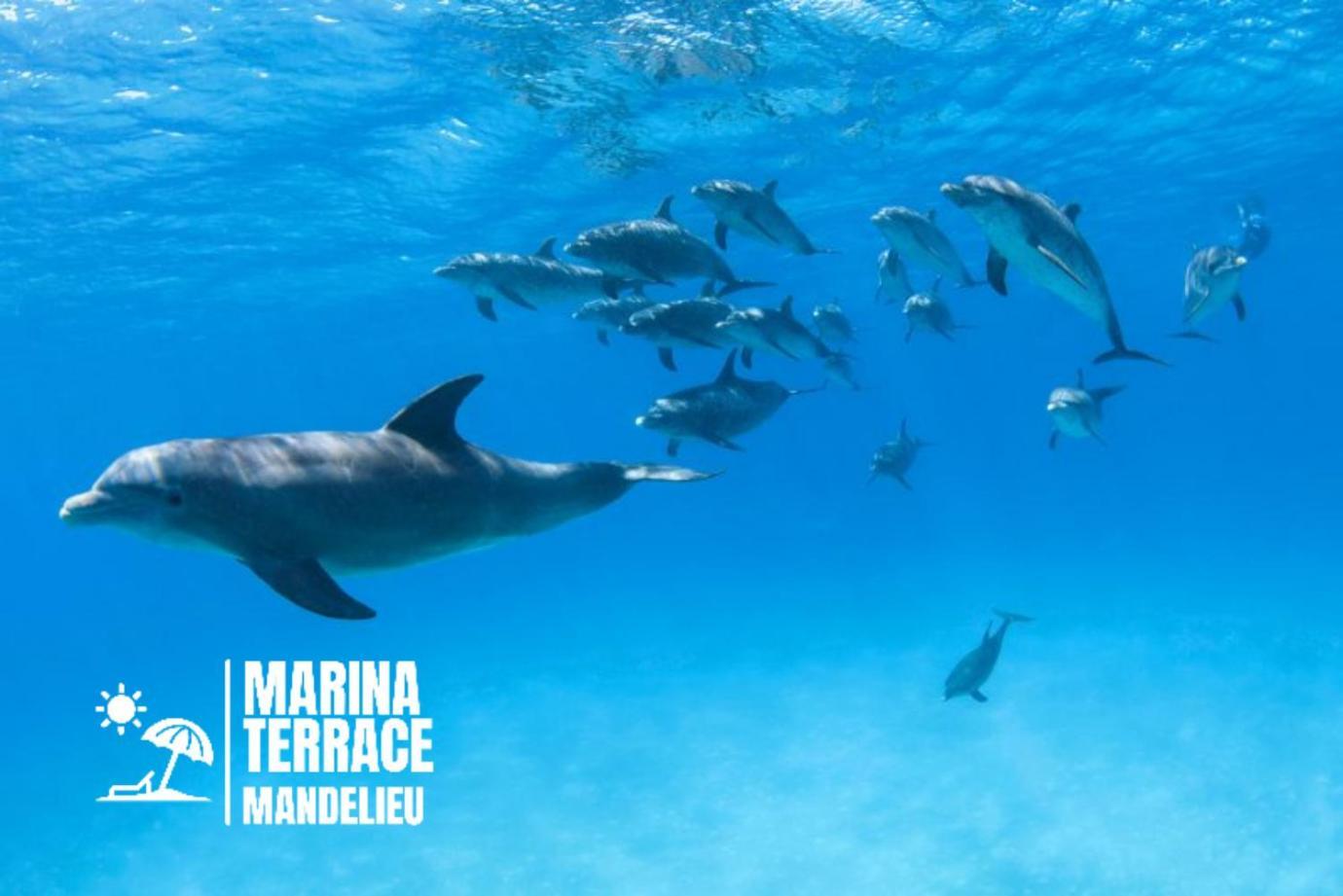 Appartamento Marina Terrace Mandelieu Esterno foto